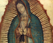 Wunder von Guadalupe