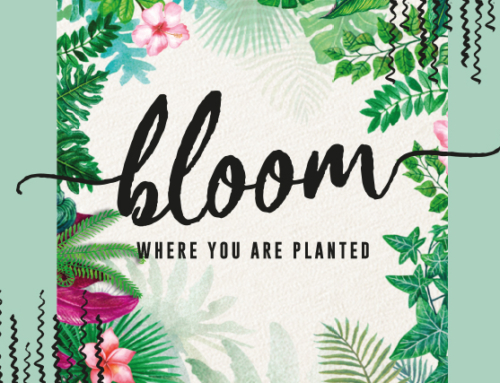 Bloom where you’re planted